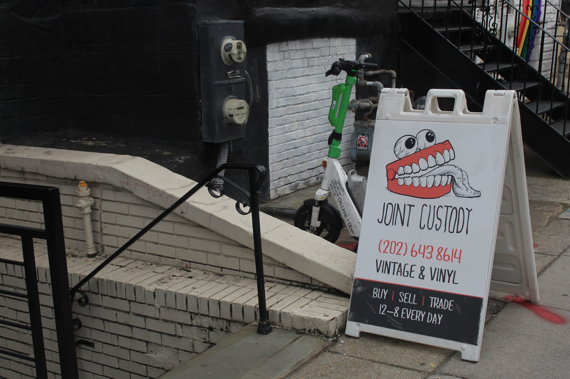 Joint Custody: D.C. record store and "general freak emporium"